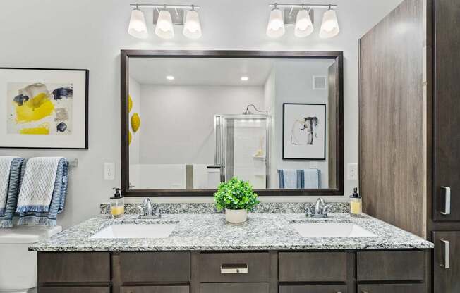 A bathroom with a large mirror and a plant on the counter.