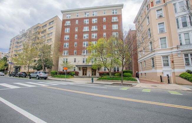 Charming Studio Condo Unit in Adams Morgan!