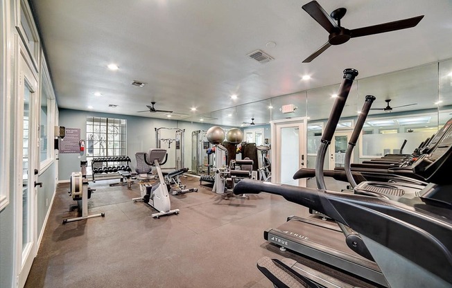 the gym is equipped with cardio equipment and weights