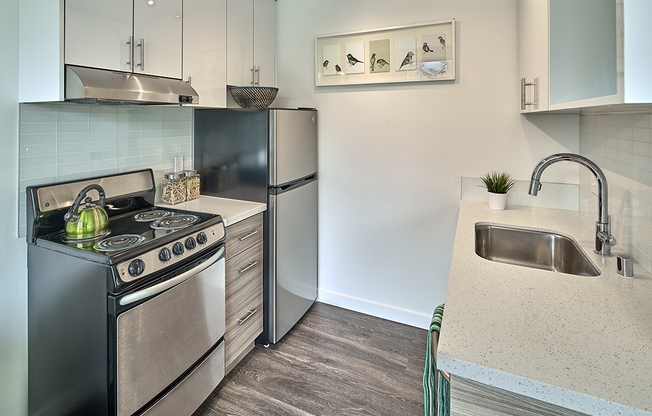 Studio, 1 bath, 325 sqft, $1,505, Unit 512
