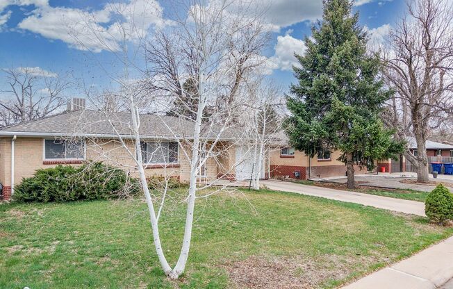 Fabulous Lakewood/Denver 3 bed/1 bath/1 car garage