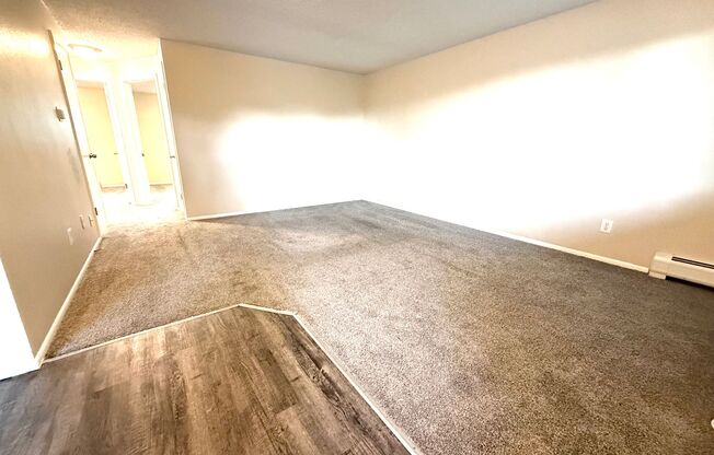 Simms Street 6155