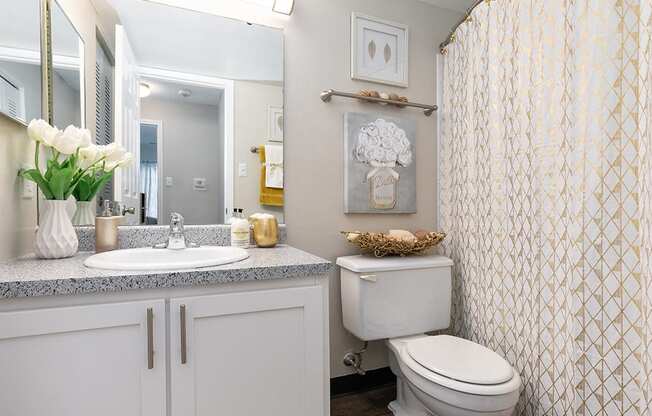 Bathroom with Hardwood Style Flooring and Large White Vanity with Stone Top