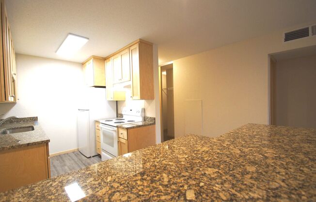 1 bed, 1 bath, 780 sqft, $1,334, Unit 302