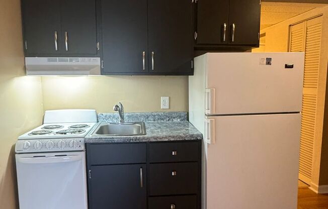 1 bed, 1 bath, $1,125