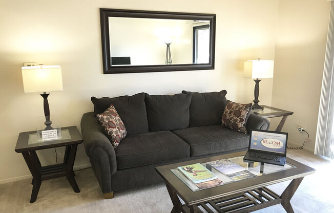 Plush Carpeting Throughout Living Area at Old Monterey Apartments, Missouri, 65807