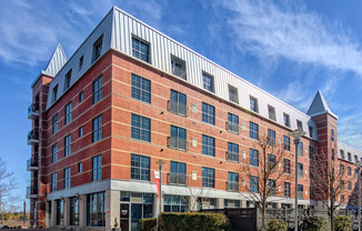 Welcome to The Sheffield SoNo