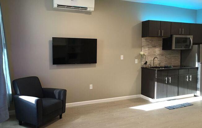 Studio, 1 bath, 350 sqft, $1,495, Unit 409