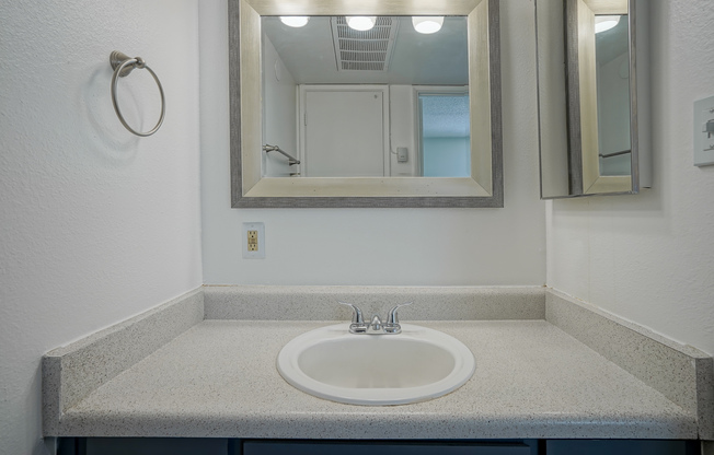 Dark grey bathroom vanity at Treehouse Apartments in Albuquerque, New Mexico