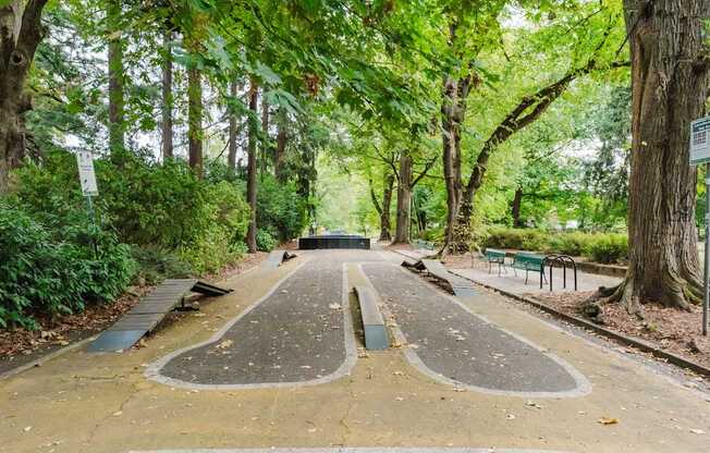 A tree-lined path with a split in the middle.