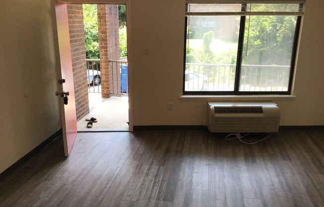 Studio, 1 bath, 384 sqft, $875, Unit FR31031