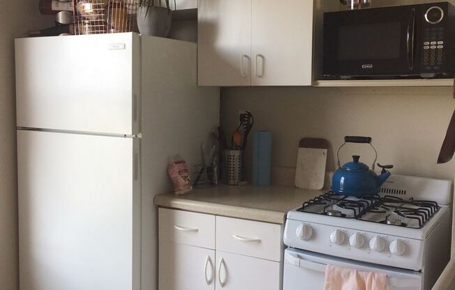 Studio, 1 bath, 356 sqft, $1,169, Unit 103