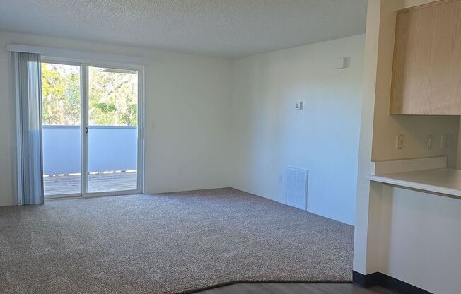 2 beds, 2 baths, 1,000 sqft, $1,450, Unit 4