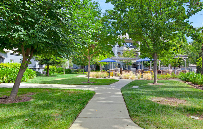 Broadleaf Apartments  |  Trees with Shaded Areas Walk Way