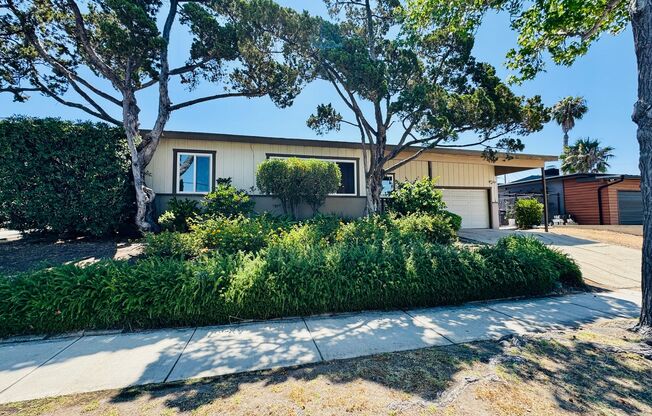 4 BED / 2 BATH NEAR SDSU w/ LARGE BACKYARD – AVAILABLE 8/1! - $4,800/mo