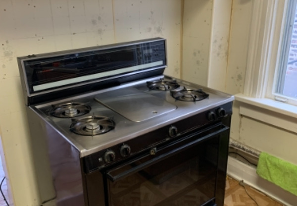 2518 S. California Ave 1B