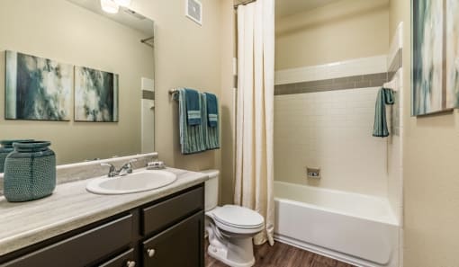 a bathroom with a sink toilet and a bath tub at Echo at Lake Norman, Mooresville, 28117