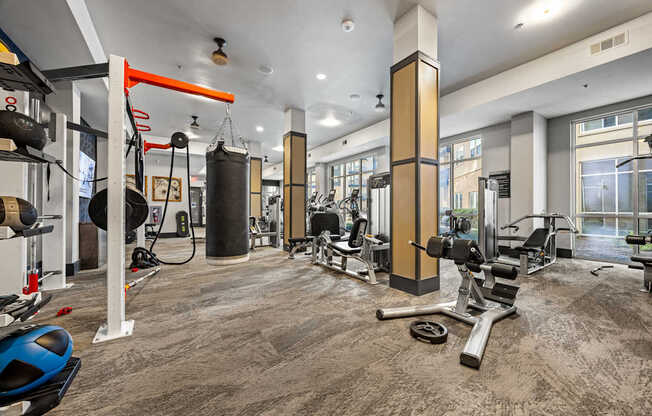 A gym with a variety of equipment including a treadmill, weights, and a punching bag.