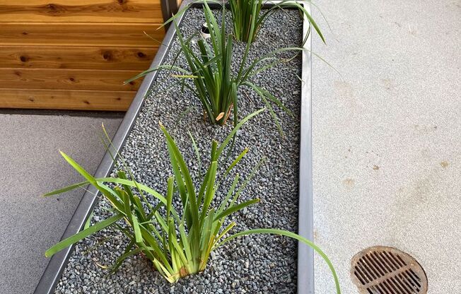 1 bed, 1 bath, 765 sqft, $1,994, Unit One11 212