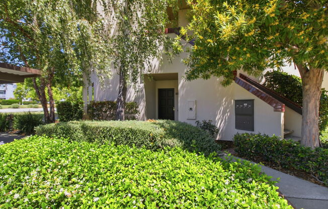101 SHOREBIRD CIR