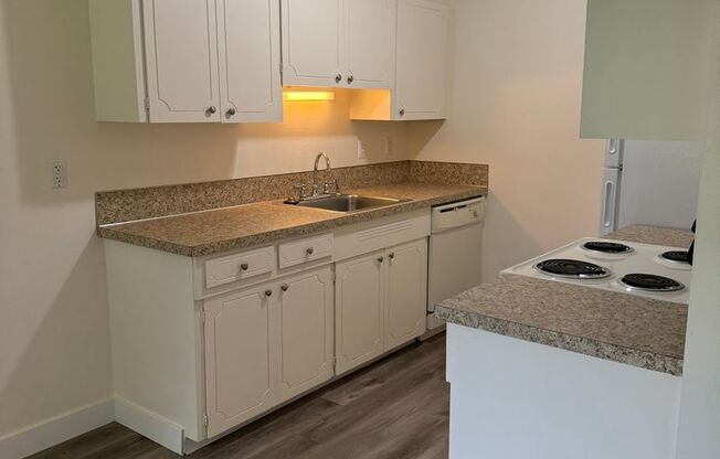 1 bed, 1 bath, 750 sqft, $1,250, Unit 119-4938