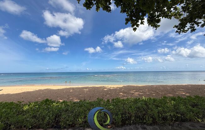 Rare 1 Bedroom Haleiwa Surf Condo - Available Now!