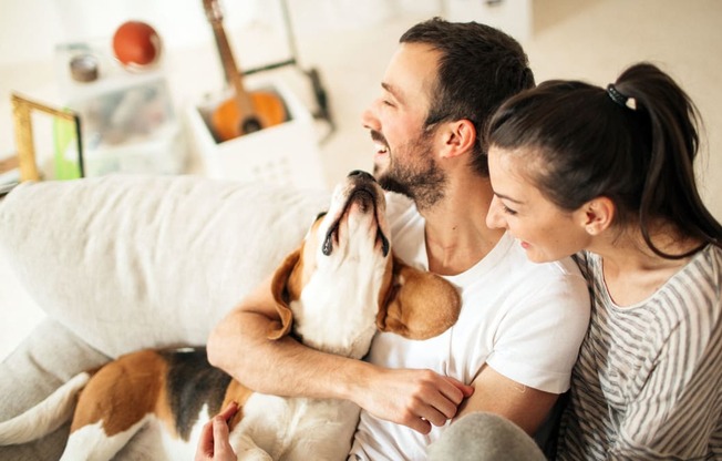 a man and woman sitting on a couch with a dog