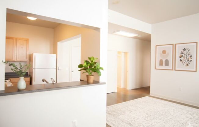 Victor Clothing Apartments