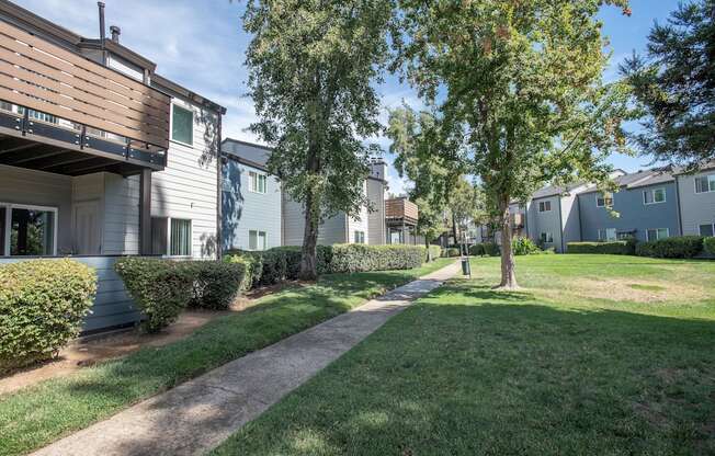 A tree in a grassy area in front of apartment buildings at Sierra Glen Apartments, California, 95621