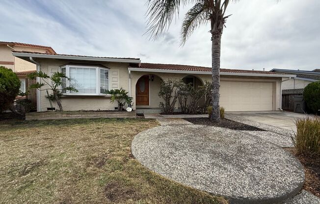 Beautiful Home In The Heart of Berryessa Area