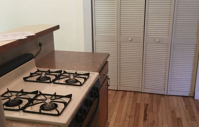 North Old Town Beauty – Updated Interiors & Huge Backyard