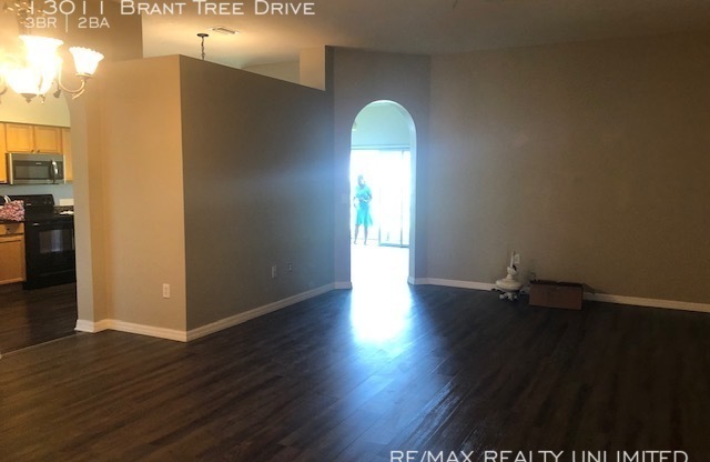 13011 BRANT TREE DR