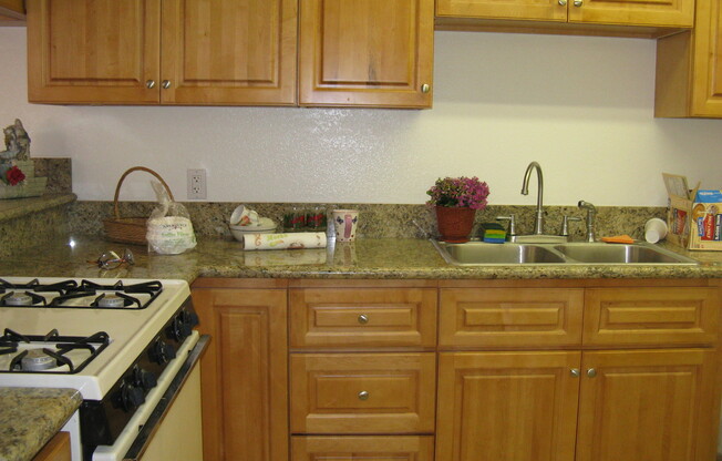 1 bed, 1 bath, 559 sqft, $1,595, Unit 214