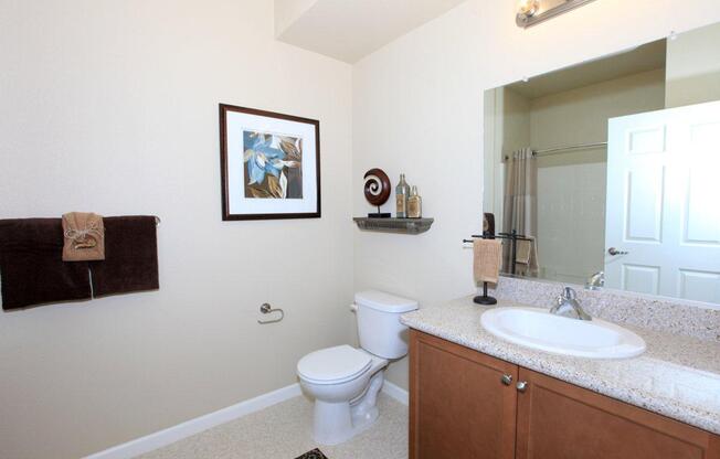 We have a lot of lighting in our bathrooms at Greystone Apartments