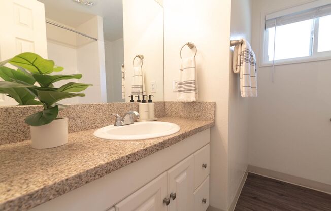 1 bed, 1 bath, 700 sqft, $1,800, Unit 4138