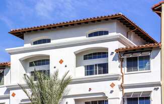 a white building with a palm tree in front of it