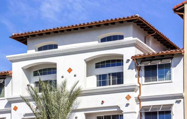 a white building with a palm tree in front of it