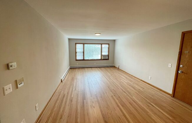 Nice 1bed 1bath Apartment in the Vilas Area