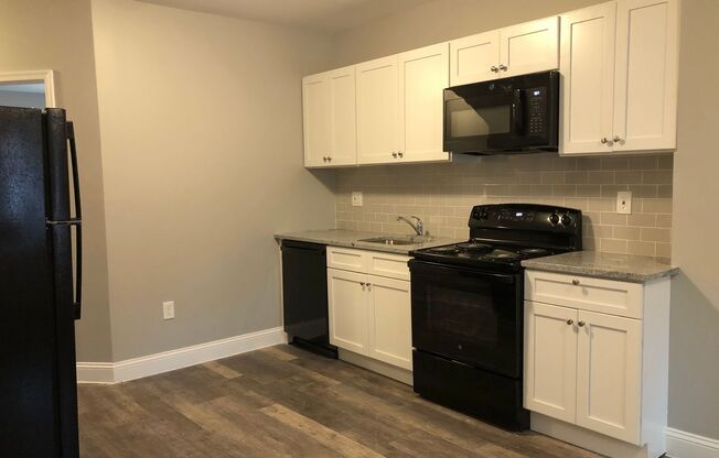 1 bed, 1 bath, $1,025, Unit Apt 1