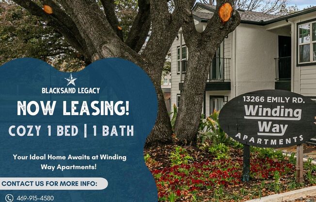 Winding Way on Emily in the Heart of Dallas