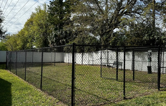 Let your pets play freely in our secure, scenic dog park—perfect for exercise, fresh air, and tail-wagging fun.