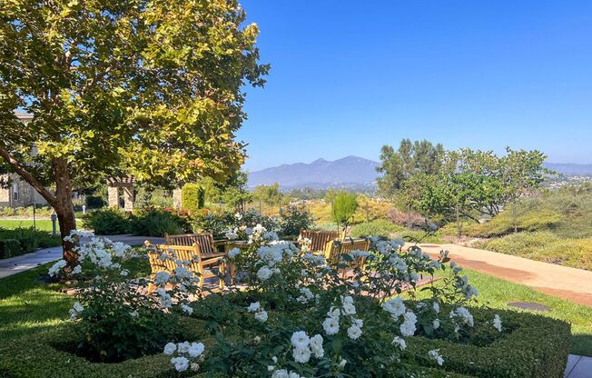 Entertainers Delight in Aliso Viejo!