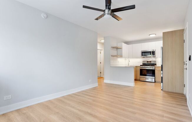 1 bed, 1 bath, 464 sqft, $1,825, Unit 307