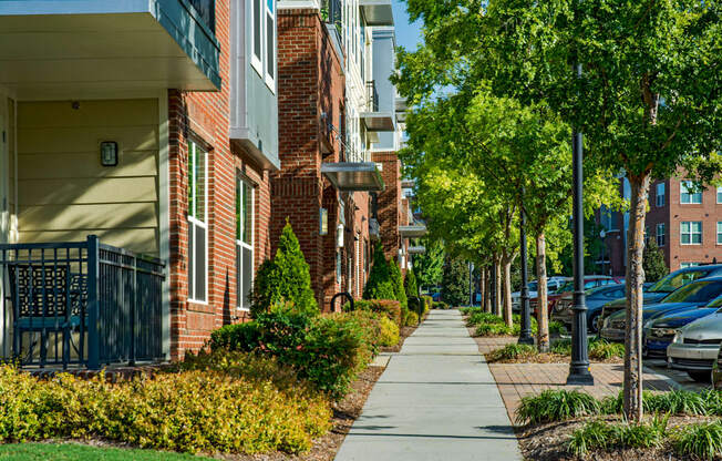 A tree-lined walkway in front of apartment buildings.