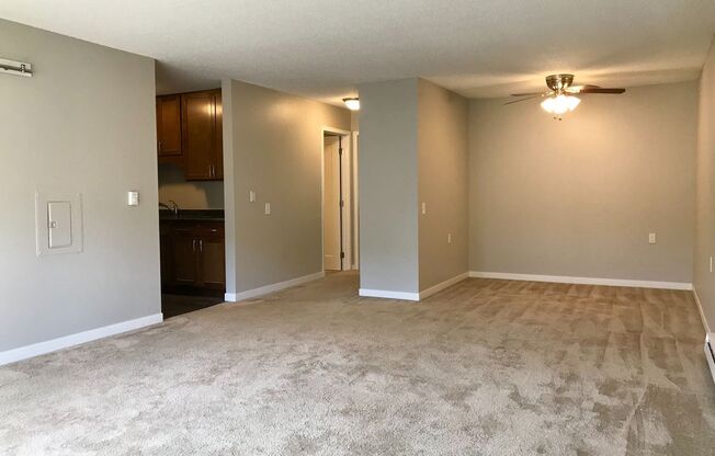 1 bed, 1 bath, 750 sqft, $1,445, Unit 145505R