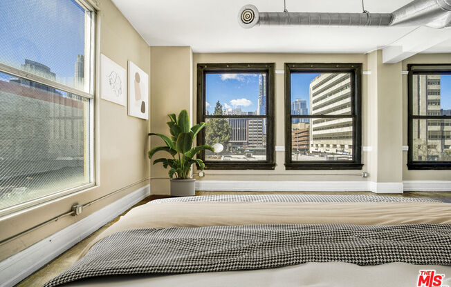 Studio, 1 bath, 750 sqft, $2,500, Unit 309