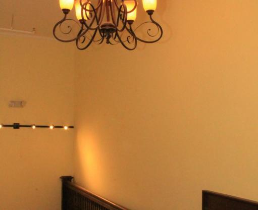 1 bed, 1 bath, 789 sqft, $1,600