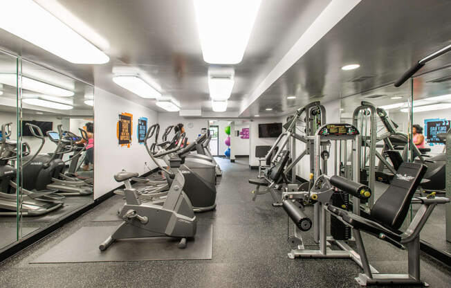 Filly Equipped Fitness Center at Falls Village Apartments, Baltimore, 21209