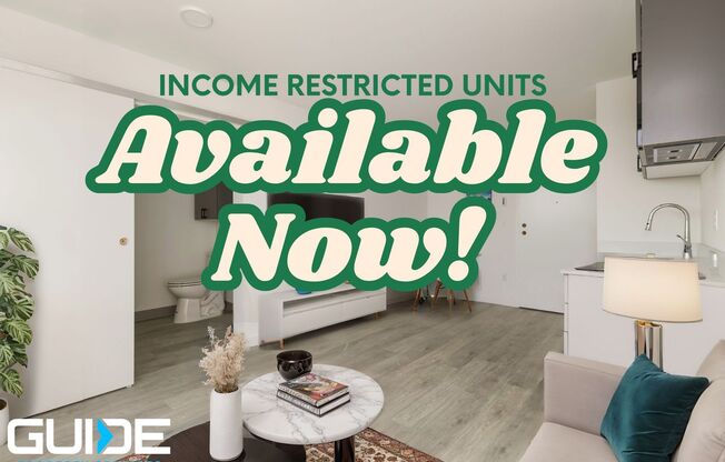 Studio, 1 bath, 252 sqft, $920, Unit 212 MFTE