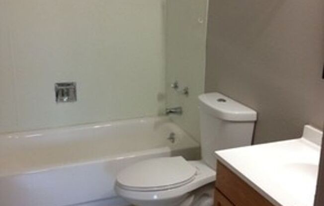 1 bed, 1 bath, 500 sqft, $1,095, Unit A206